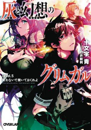 Grimgar of Fantasy & Ash Light Novel Volume 5