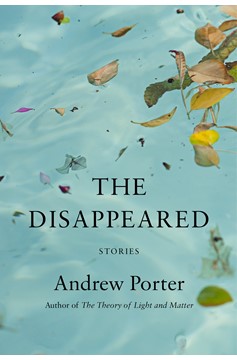 The Disappeared (Hardcover Book)