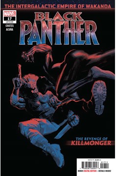 Black Panther #17 (2018)