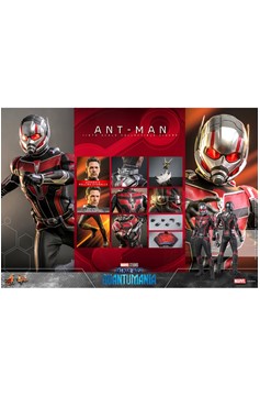 Hot Toys - Marvel - Ant-Man (Quantumania) Sixth Scale Figure