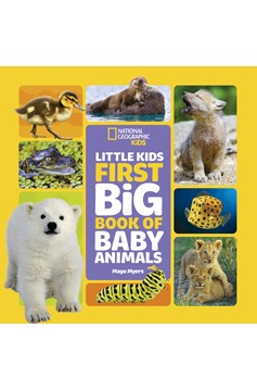 Little Kids First Big Book Of Baby Animals (Hardcover Book)