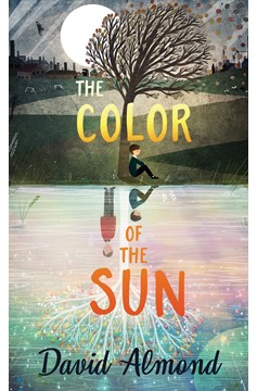 The Color Of The Sun (Hardcover Book)