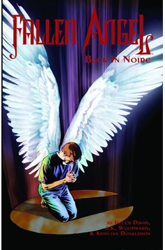 Fallen Angel IDW Graphic Novel Volume 3