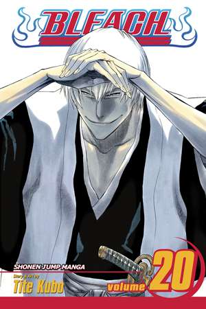 Bleach Manga Volume 20