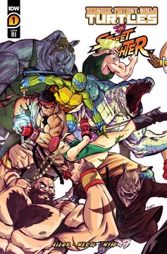 Teenage Mutant Ninja Turtles Vs. Street Fighter #1 Cover D 1 for 25 Incentive Federici