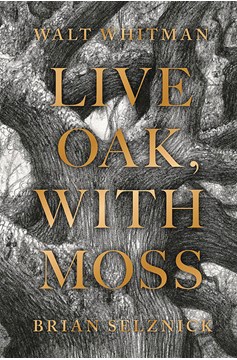 Live Oak With Moss