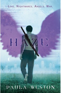 Haze (Hardcover Book)