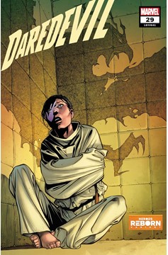 Daredevil #29 Pacheco Reborn Variant (2019)