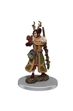 Dungeons & Dragons Icons Realms Fig Female Human Druid