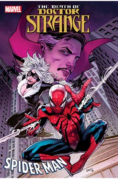 Death of Doctor Strange Spider Man #1