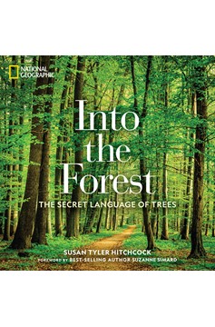 Into The Forest (Hardcover Book)