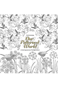 Our Patterned World A Beautiful Coloring Book Graphic Novel