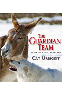 The Guardian Team (Hardcover Book)