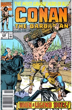 Conan The Barbarian #238 [Newsstand]