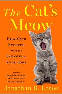 The Cat'S Meow (Hardcover Book)