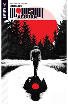 Bloodshot Reborn Graphic Novel Volume 1 Colorado