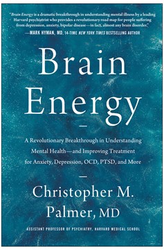 Brain Energy (Hardcover Book)
