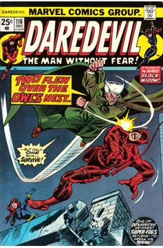 Daredevil #116 [Regular Edition]