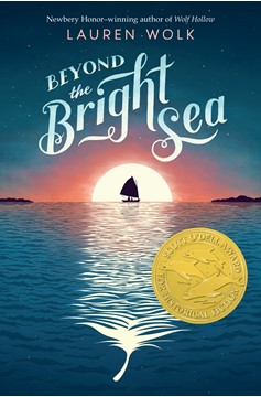 Beyond The Bright Sea (Hardcover Book)