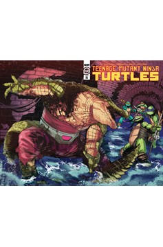 Teenage Mutant Ninja Turtles Ongoing #143 Sanchez 1 for 10 Incentive