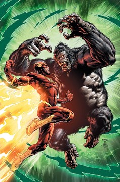 Flash #43 Variant Edition (2016)
