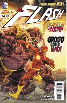 Flash #14 (2011)