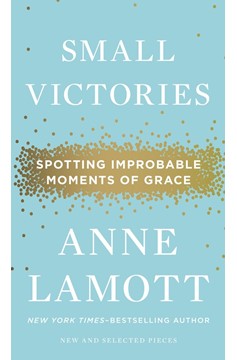 Small Victories (Hardcover Book)