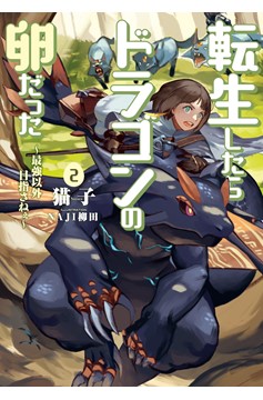 Reincarnated as a Dragon Hatchling Light Novel Volume 2