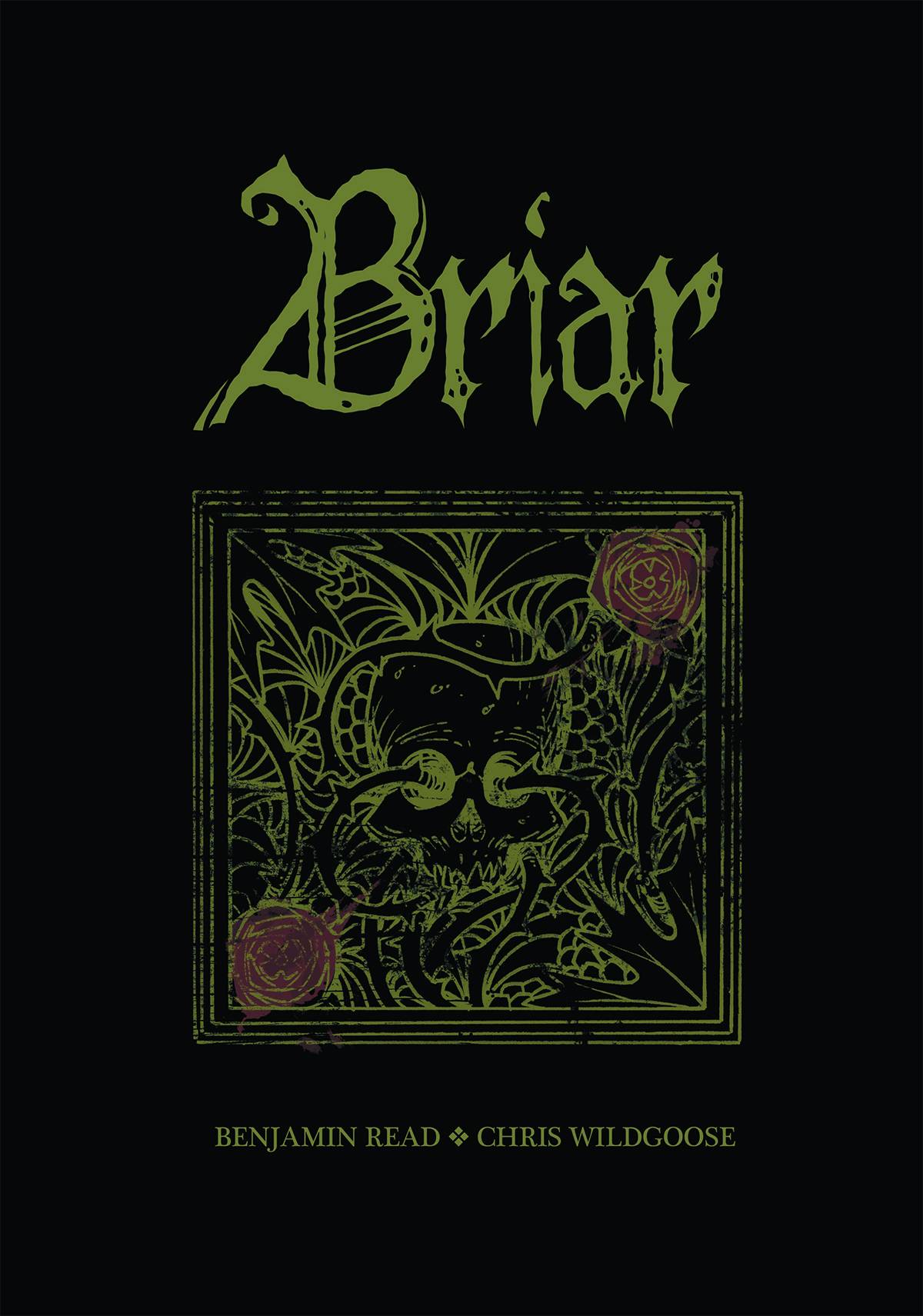Briar Graphic Novel Volume 1