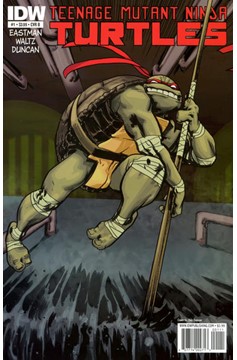 Teenage Mutant Ninja Turtles #1 [Cover B - Dan Duncan Connecting Variant]-Near Mint (9.2 - 9.8)