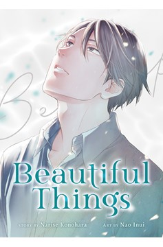 Beautiful Things The Complete Manga Collection