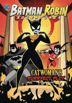 Batman & Robin Adventure Young Reader Graphic Novel #6 Catwomans Purrfect Plot
