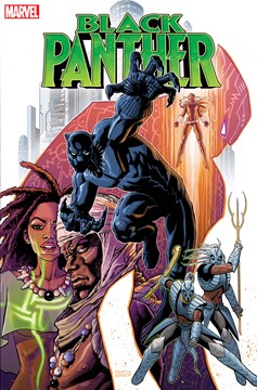 Black Panther #19 Weaver Variant (2018)