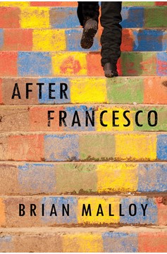 After Francesco (Hardcover Book)