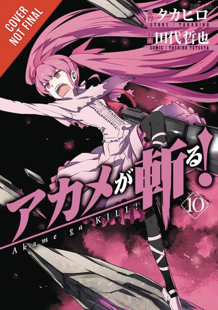 Akame Ga Kill Manga Volume 10