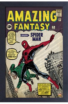 Spider-Man - Amazing FANTASY #15 11" x 17" Framed Print