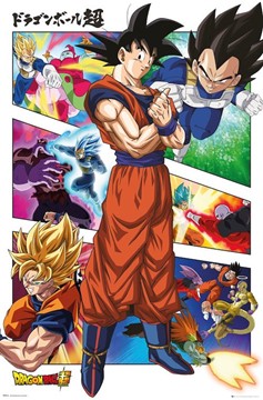Dragon Ball Z Super Panels Poster
