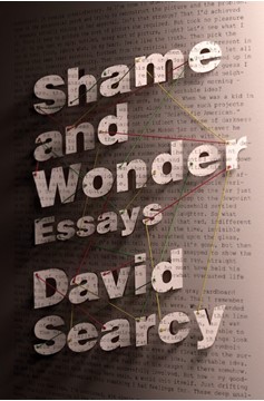 Shame And Wonder (Hardcover Book)