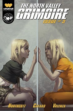North Valley Grimoire #3 Cover B Rockwell (Mature) (Of 6)