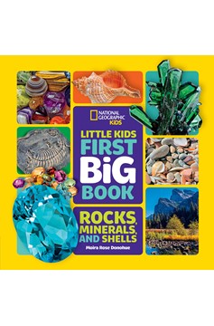 Little Kids First Big Book Of Rocks, Minerals & Shells (Hardcover Book)