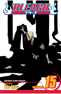 Bleach Manga Volume 15