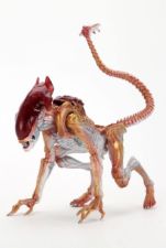 Aliens Panther Alien (Kenner Tribute) Action Figure