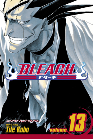 Bleach Manga Volume 13