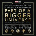 Part of A Bigger Universe Unforgettable Quotes From Mcu