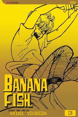 Banana Fish Manga Volume 3 (Latest Printing) (Mature)