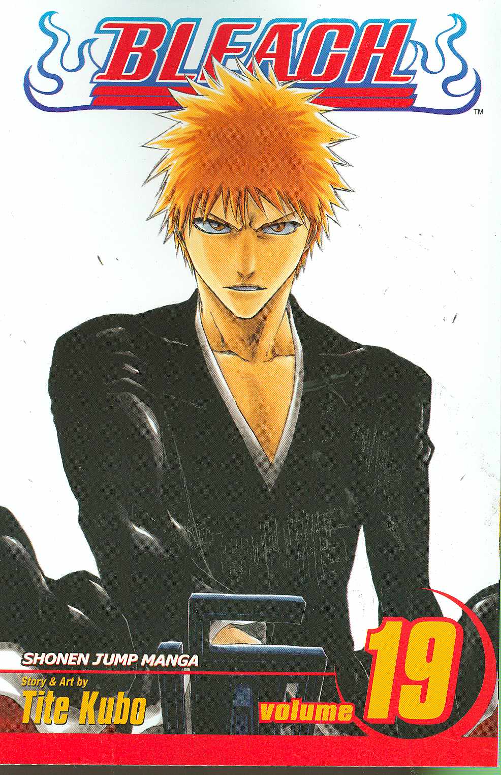 Bleach Manga Volume 19