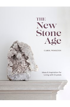 The New Stone Age (Hardcover Book)