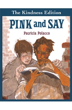 Pink And Say (Hardcover Book)