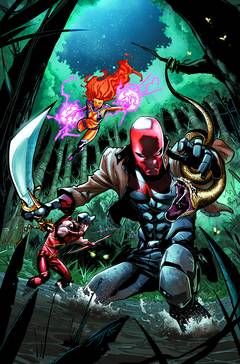 Red Hood and the Outlaws #35 (2011)