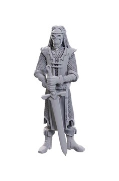 Dungeons & Dragons Nolzur's Marvelous Miniatures: 50th Anniversary Limited Edition: Skeleton Knights